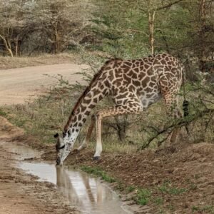 WhatsApp Image 2025-09-25 at 09.53.58